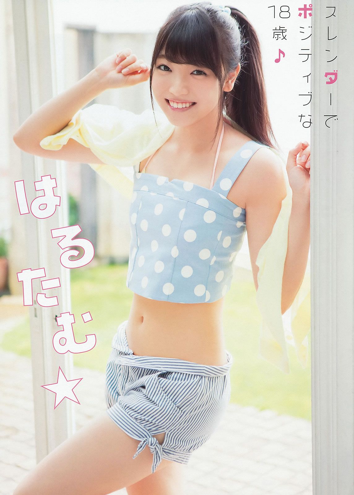 [Young Animal] 2014 No.15 16 橋本環奈 秋山美穂 松井珠理奈 二村春香 竹内舞 古畑奈和 松村香織 [44P]