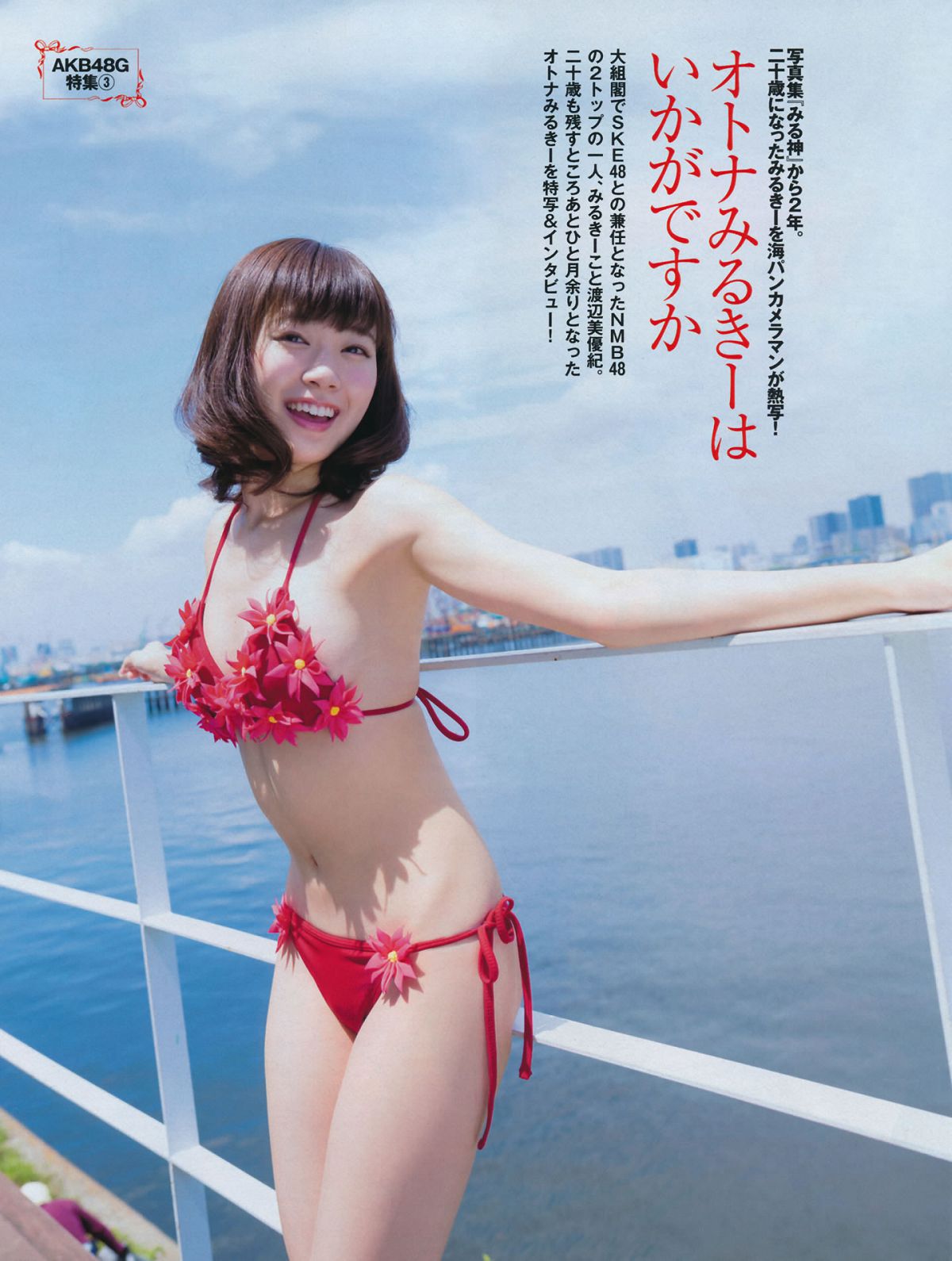 [FLASH] 特刊 2014 Summer AKB48 [66P]