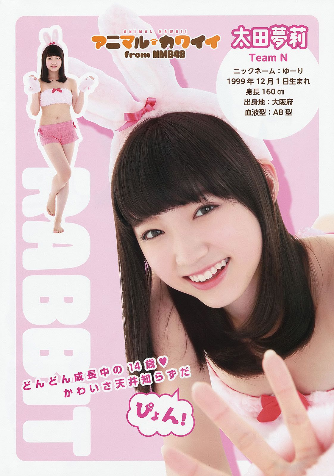 [Young Animal] 2014 No.17 (NMB48) [32P]