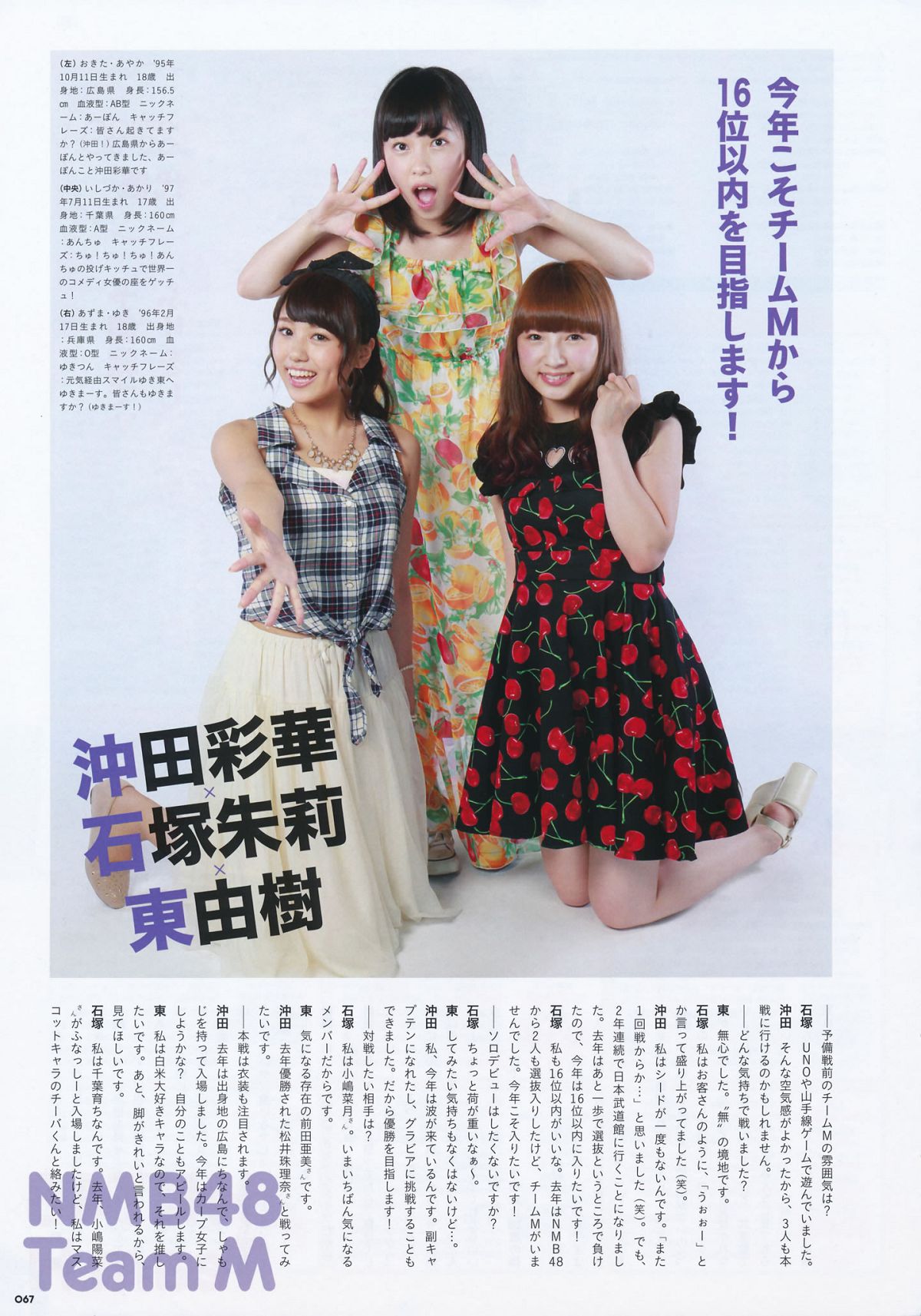 2014.09.11 AKB48じゃんけん大会公式ガイドブック2014 [62P]