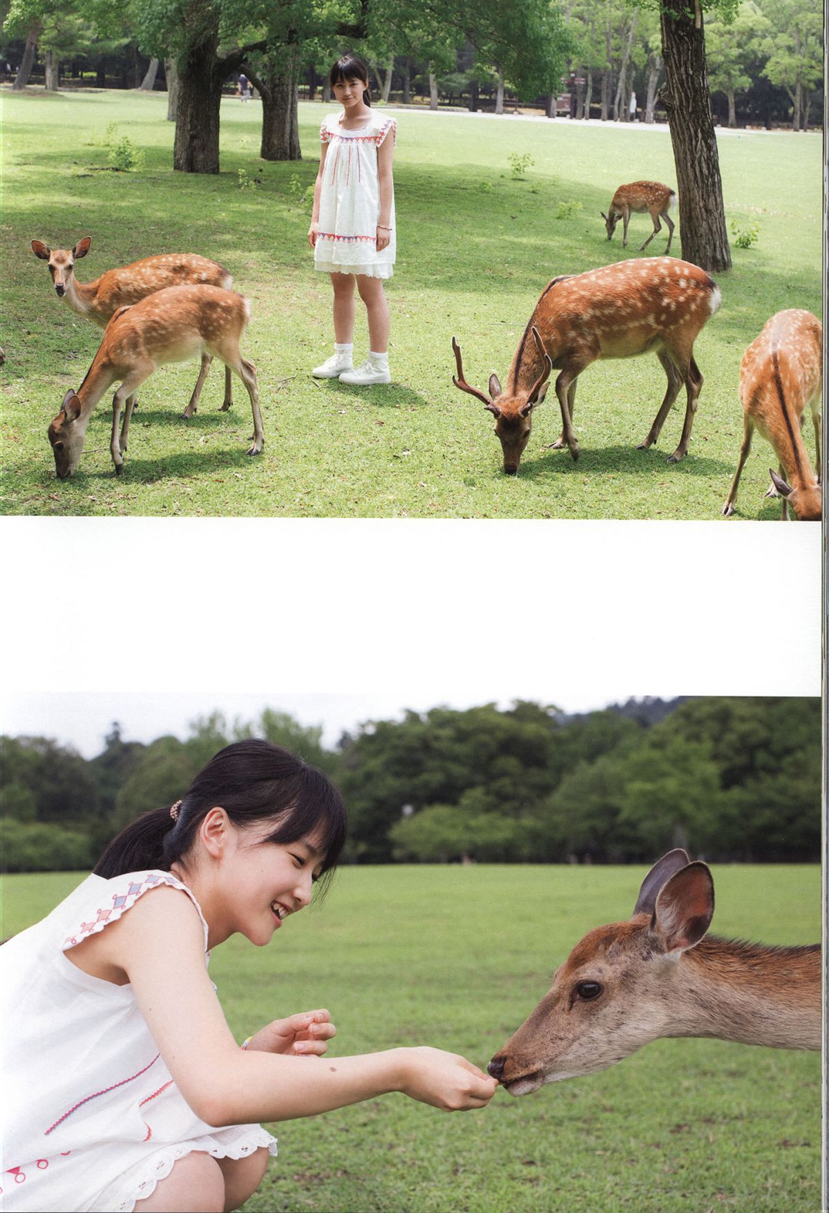 鞘師里保 写真集 『 太陽 』 [92P]