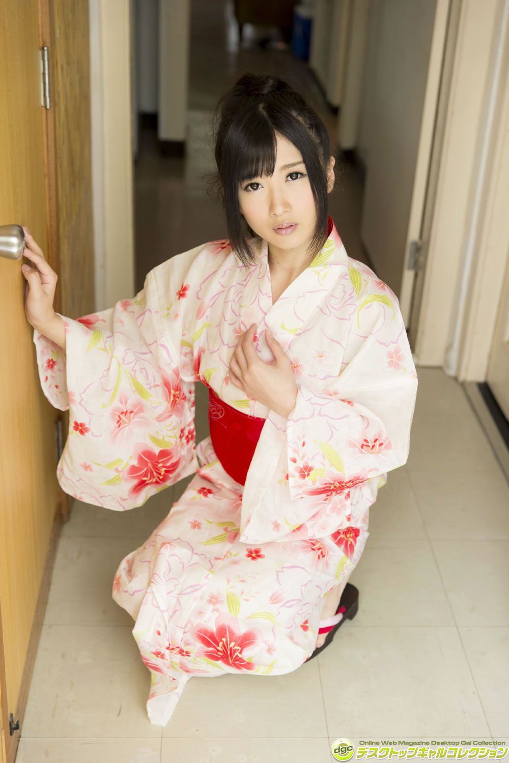 [DGC] 2014年09月号 No.1188 Hibiki Otsuki 大槻ひびき [100P]