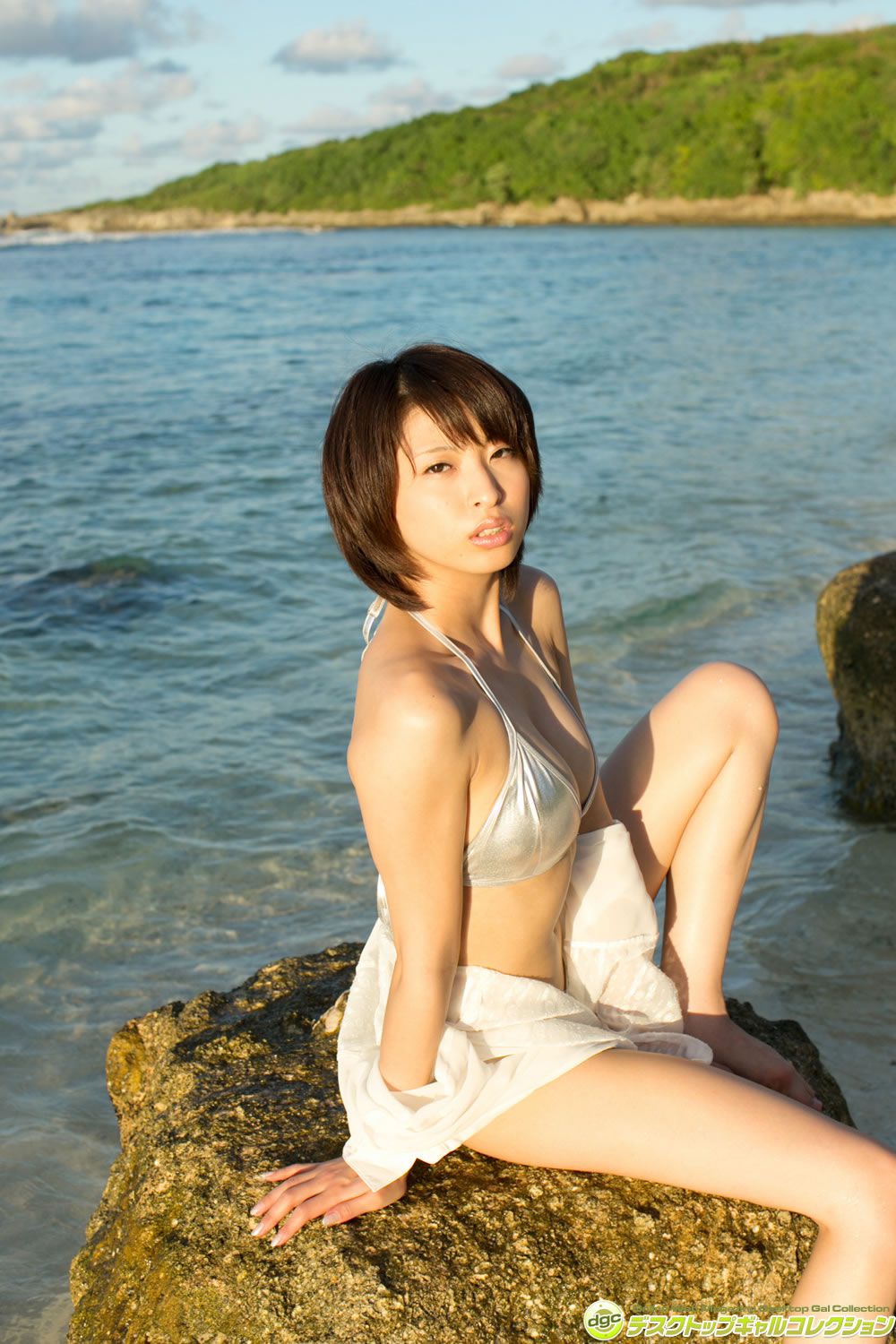 [DGC] 2014.12 No.1207 Syoko Akiyama 秋山祥子 [100P]