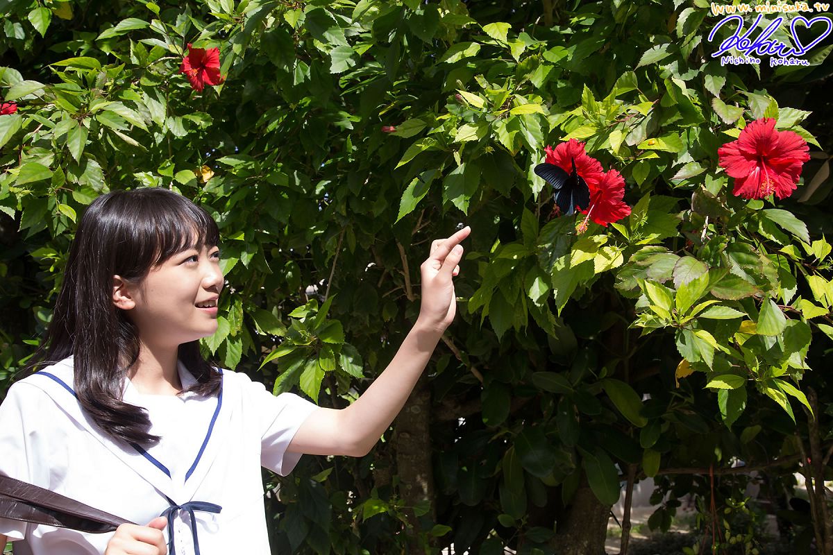 [Minisuka.tv] 2014.12.25 Koharu Nishino - Limited Gallery 13.1 [50P]