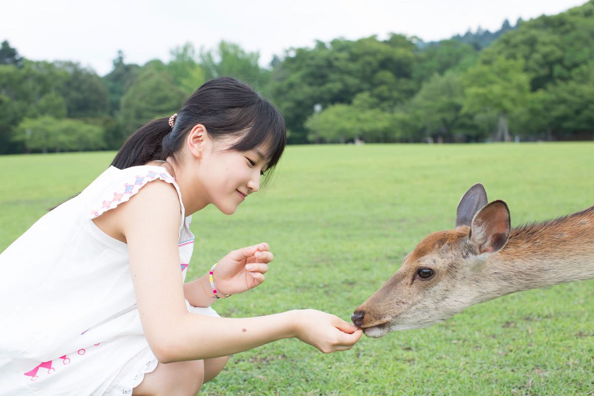 [Hello! Project digital books] 2014.07 Vol.120 Riho Sayashi 鞘師里保 [101P]