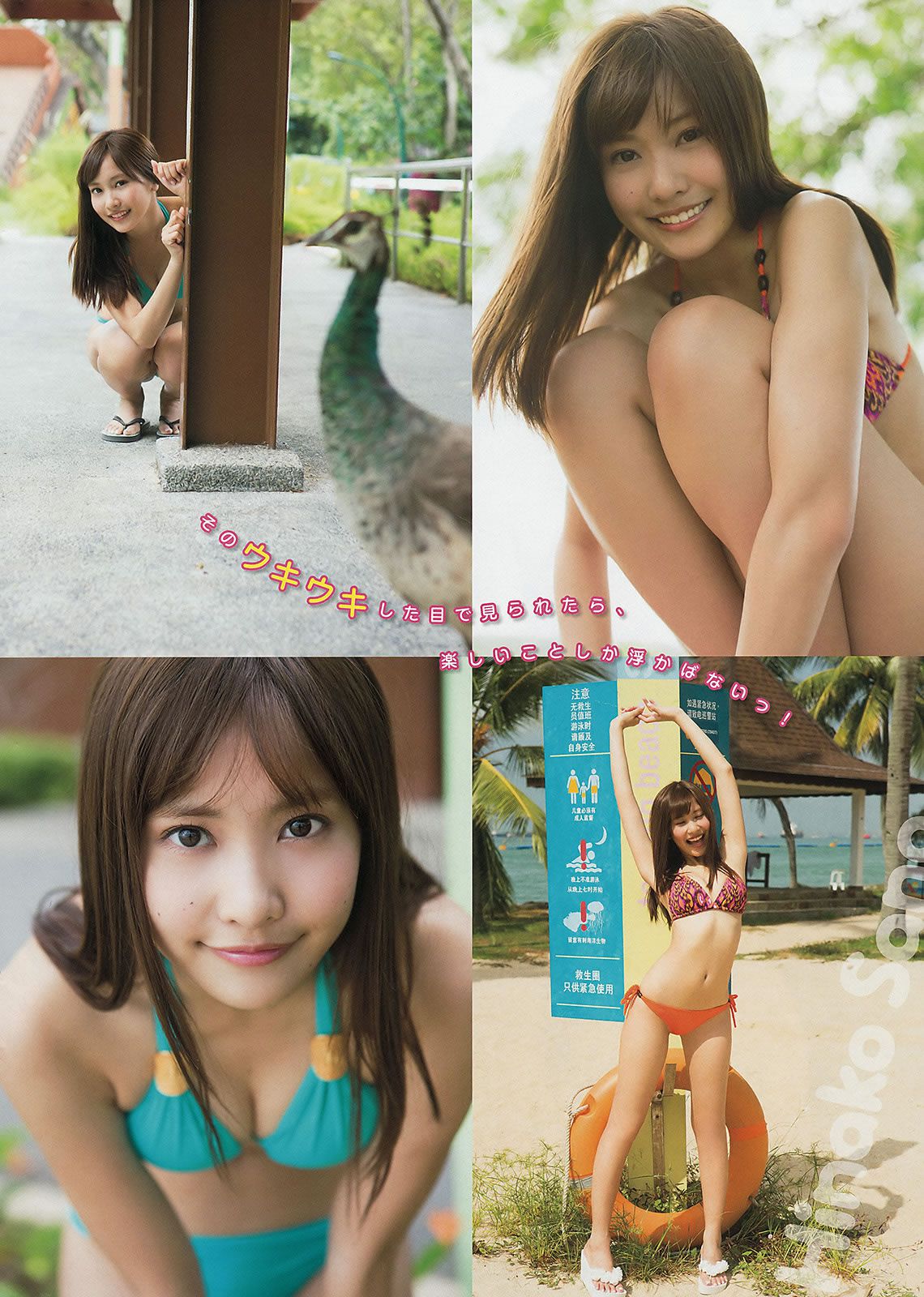 [Young Magazine] 2015 No.13 14 柏木由紀 清水みさと マギー 佐野ひなこ [22P]