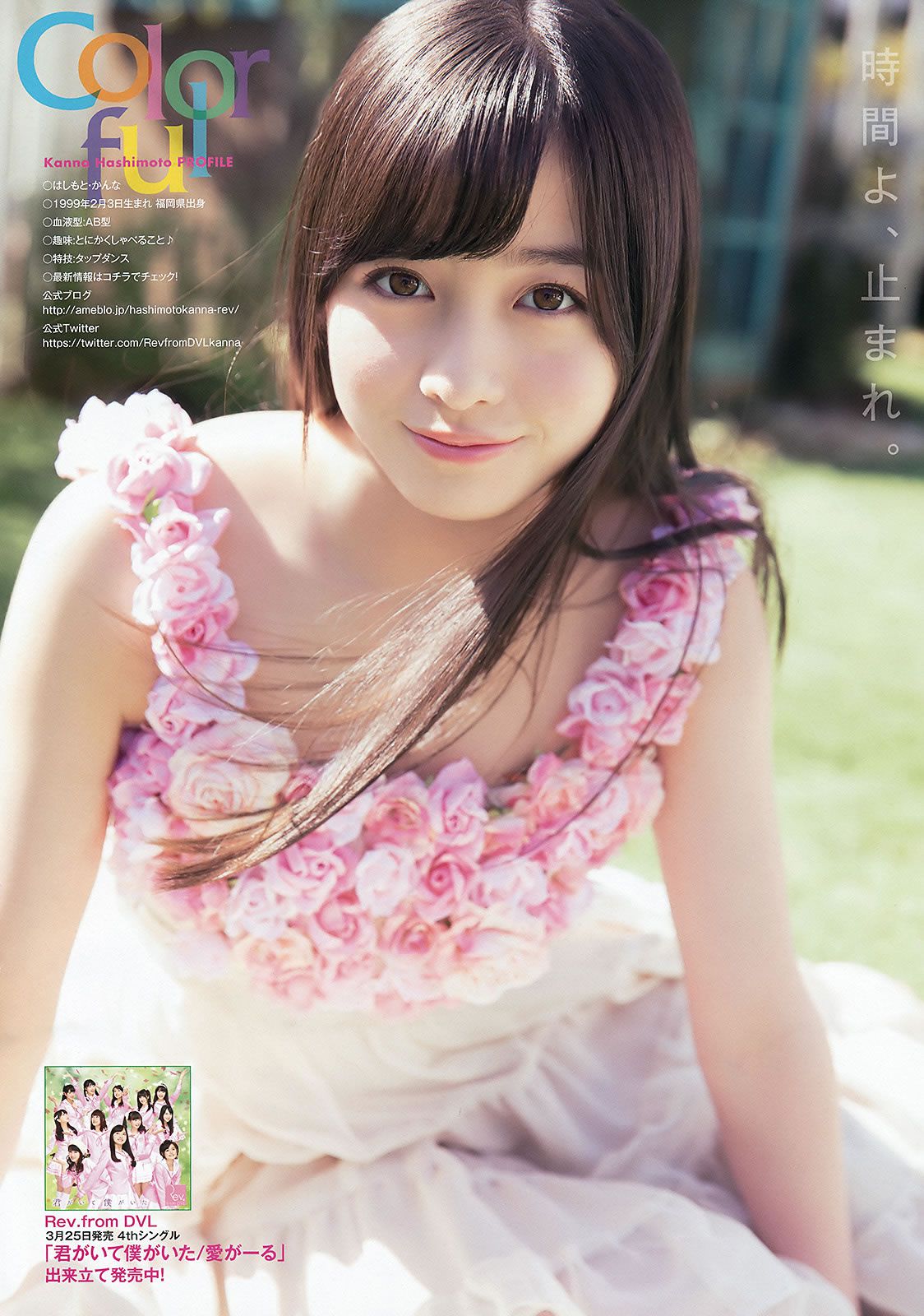 [Young Animal] 2015 No.07 橋本環奈 大貫彩香 大場美奈 [29P]