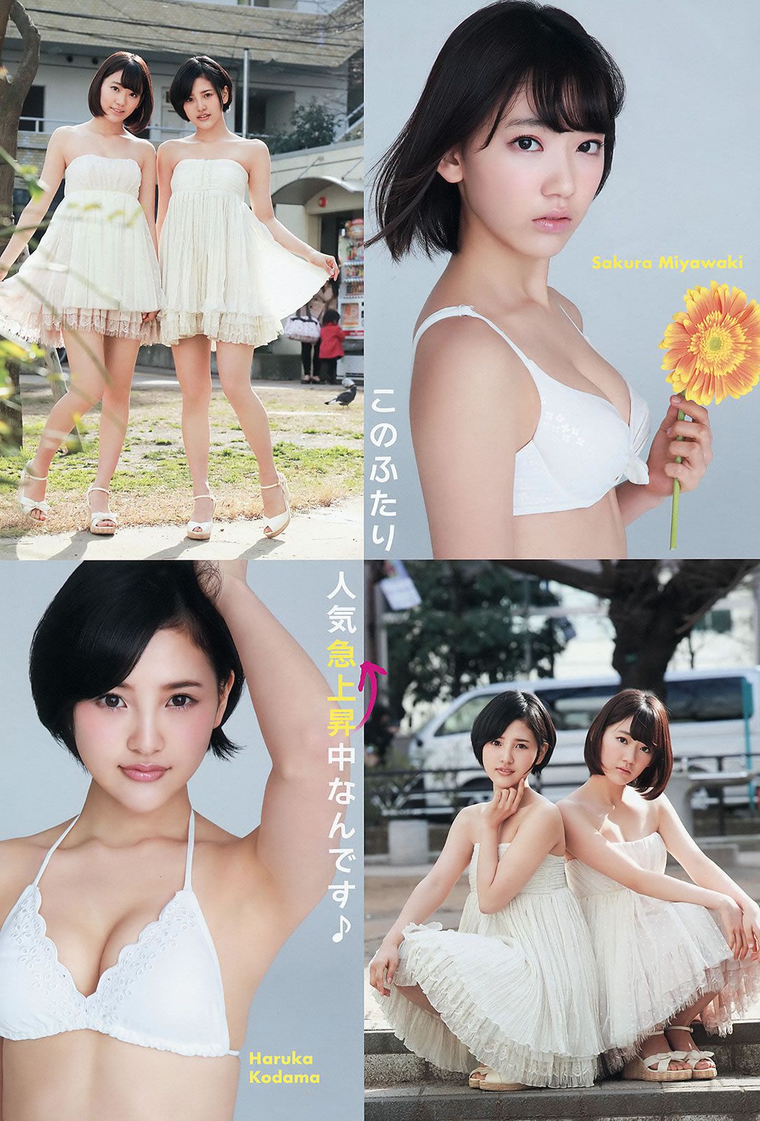 [Young Animal] 2015 No.10 11 宮脇咲良 兒玉遙 朝長美桜 松岡菜摘 穴井千尋 おのののか 羽宮千皓 [31P]