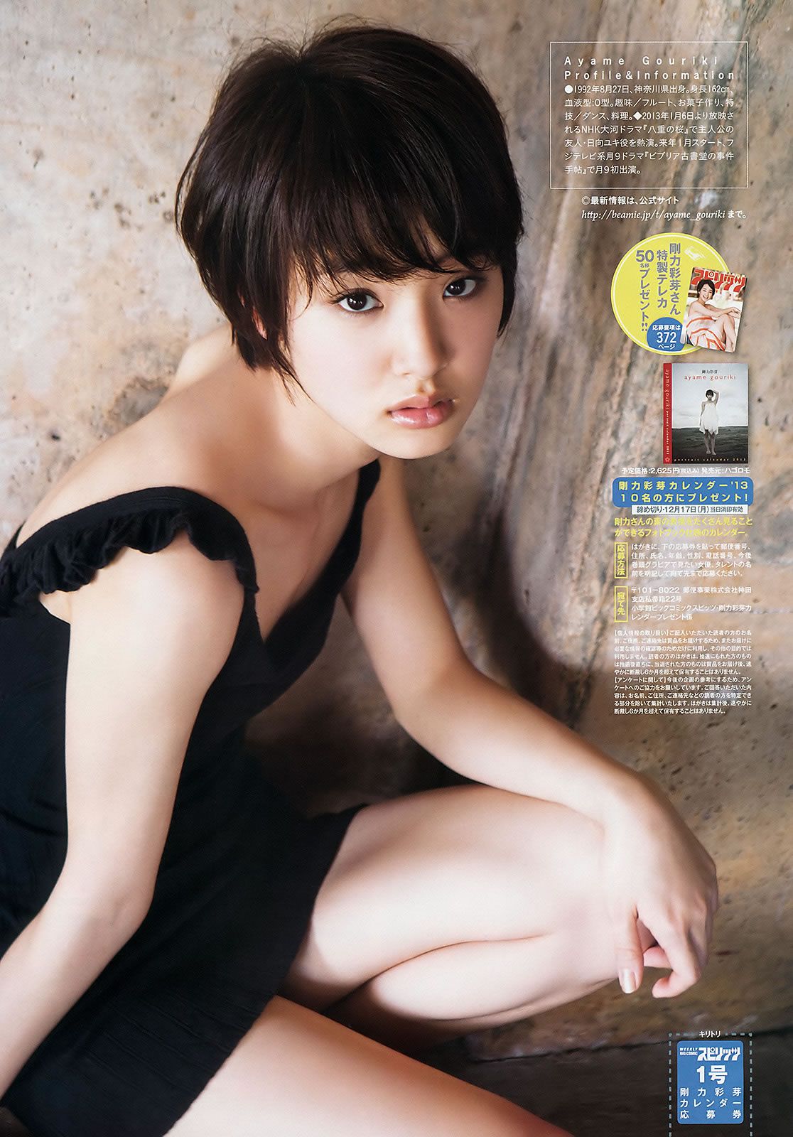 [Weekly Big Comic Spirits] 2013 No.01-03 剛力彩芽 岛崎遥香 大岛优子 [24P]