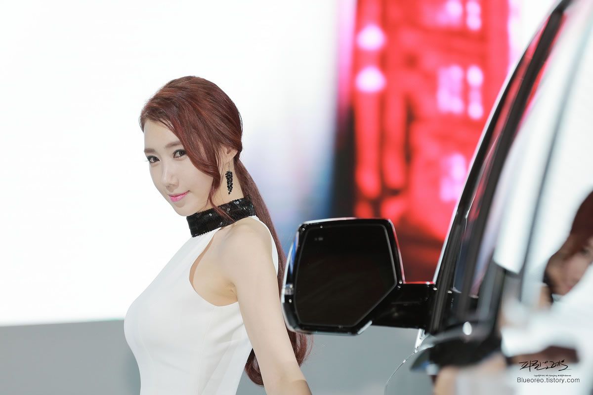 2015韩国国际车展超级车模李圣花 [77P]