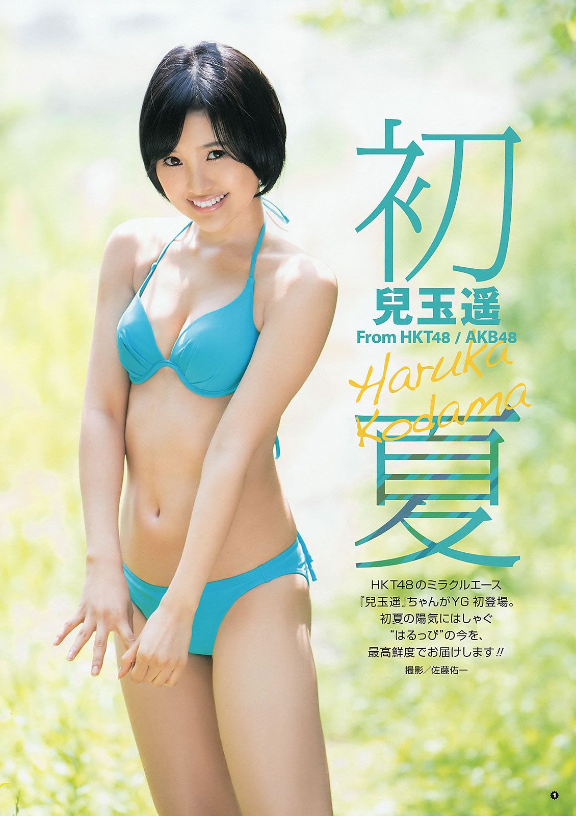 [Young Gangan] 2015 No.12-13 兒玉遙 武田紗季 生駒里奈 御伽ねこむ 井上小百合 [39P]
