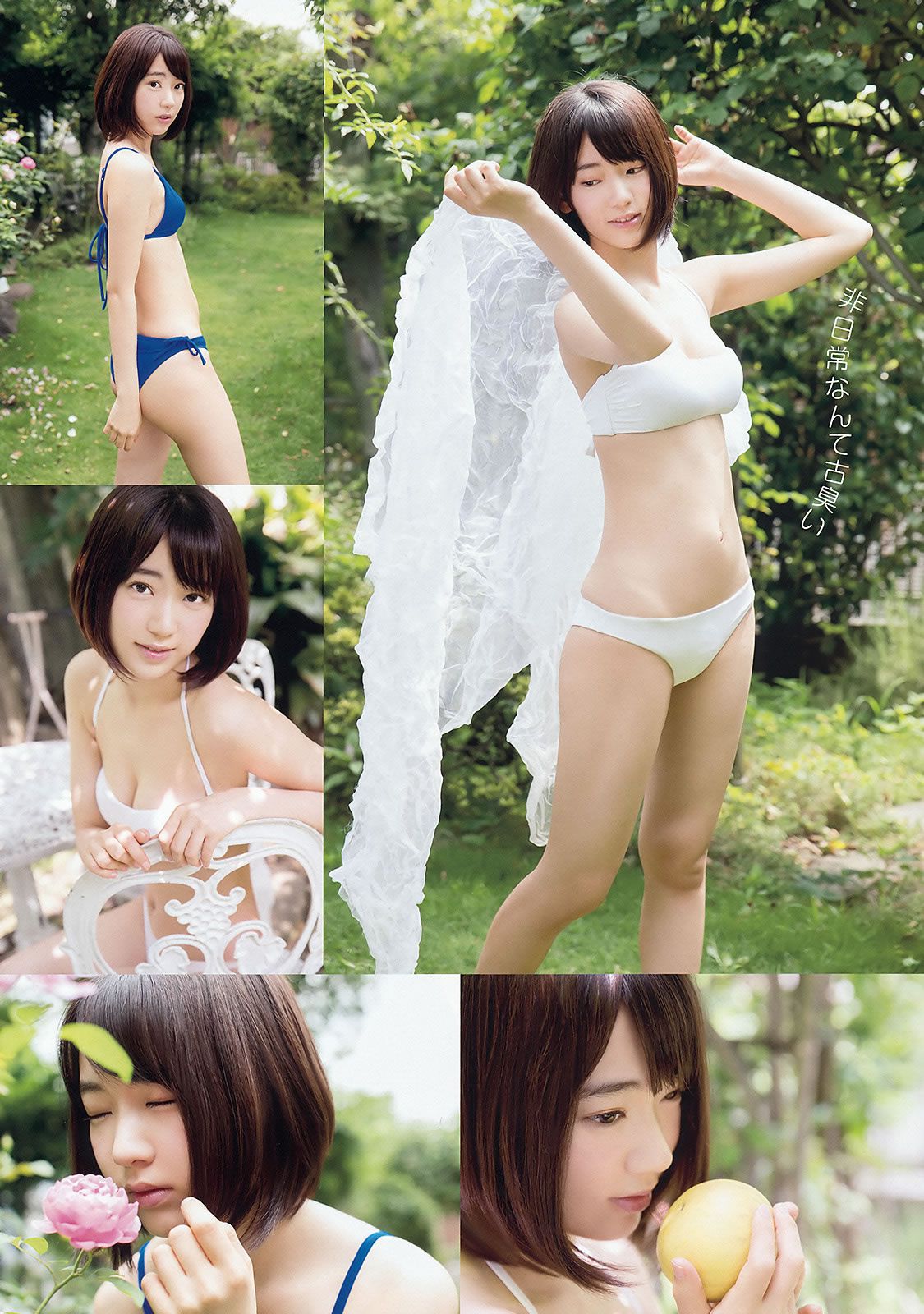 [Young Animal] 2015 No.16-17 兒玉遥 朝長美桜 宮脇咲良 山本茉央 渕上舞 [35P]