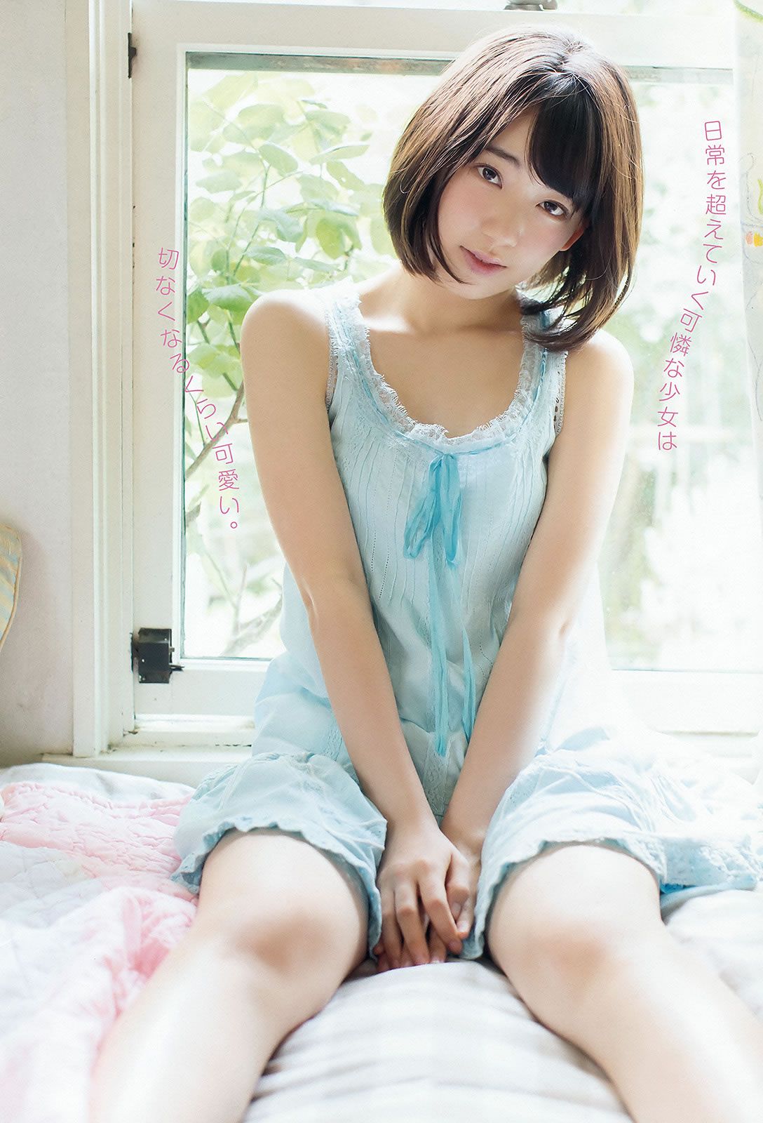 [Young Animal] 2015 No.16-17 兒玉遥 朝長美桜 宮脇咲良 山本茉央 渕上舞 [35P]