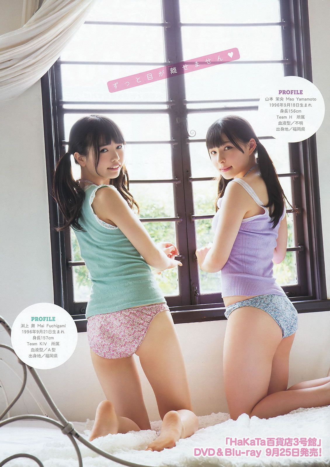 [Young Animal] 2015 No.16-17 兒玉遥 朝長美桜 宮脇咲良 山本茉央 渕上舞 [35P]