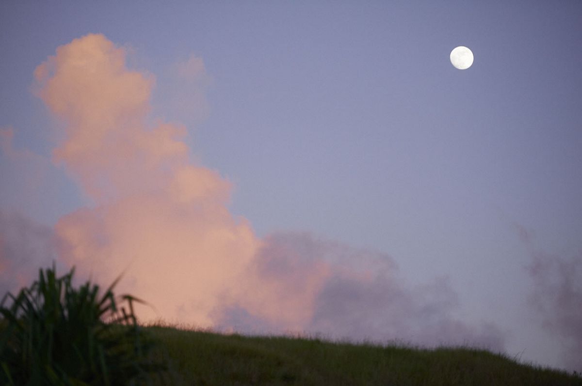 [WPB-net] No.177 Mai Asada 浅田舞 MIRACLE MOON [125P]