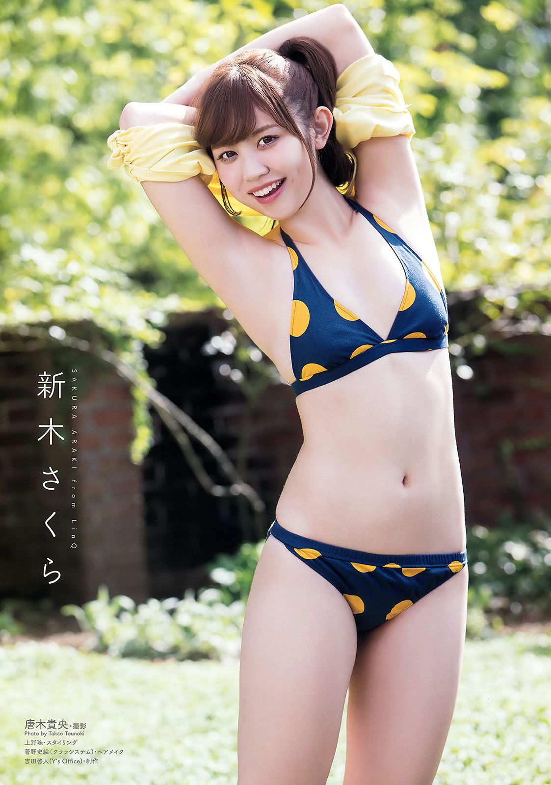 [Young Animal] 2015 No.22 石川恋 藤田美里 新木さくら 稲村亜美 金子理江 佐藤麗奈 [34P]