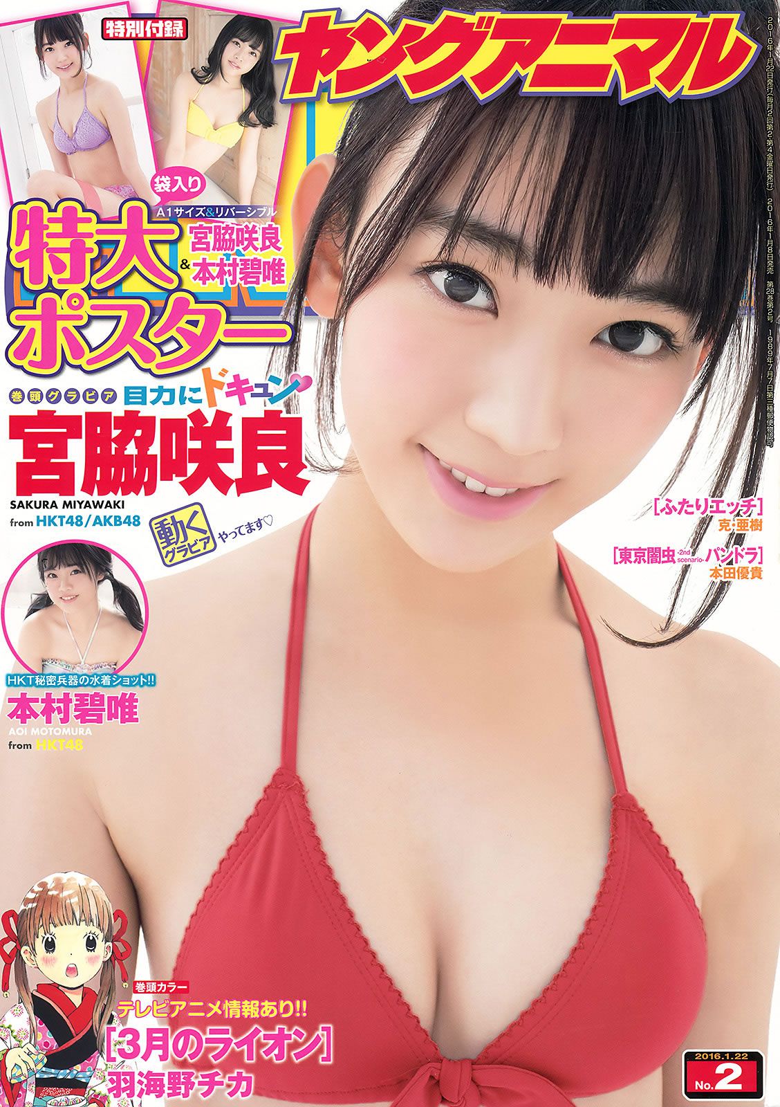 [Young Animal] 2016 No.02 03 宮脇咲良 本村碧唯 朝長美桜 渕上舞  [132]