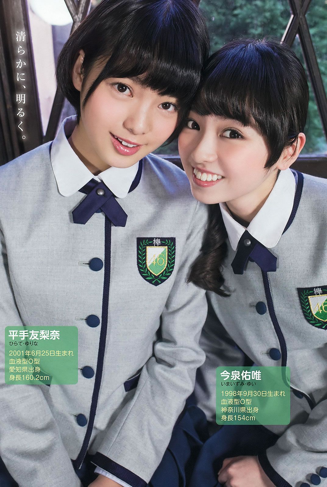 [Young Animal] 2016 No.06 欅坂46 [34P]