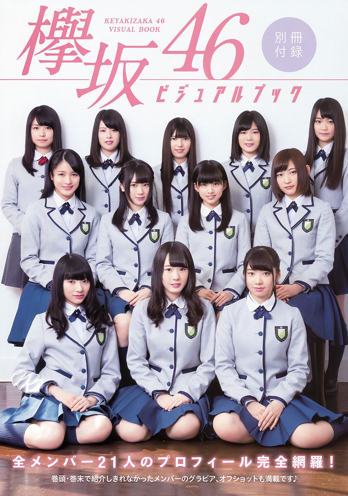 [Young Animal] 2016 No.06 欅坂46 [34P]