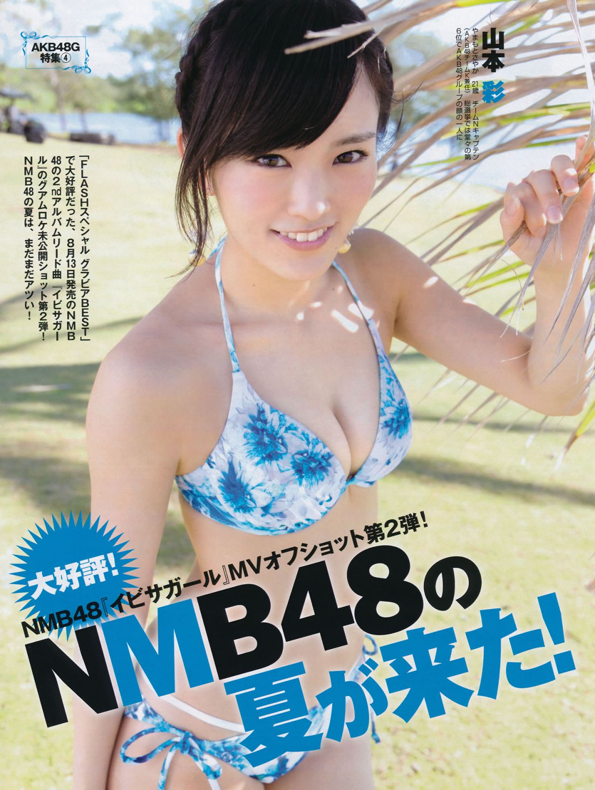 [FLASH] 特刊 2014 Summer AKB48 [65P]