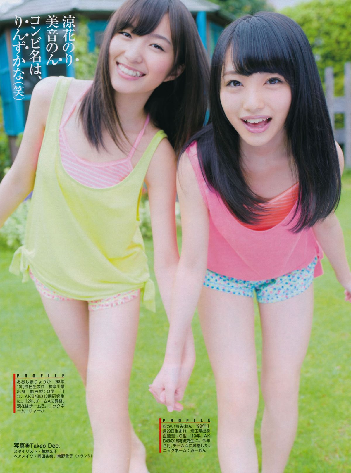 [FLASH] 特刊 2014 Summer AKB48 [65P]