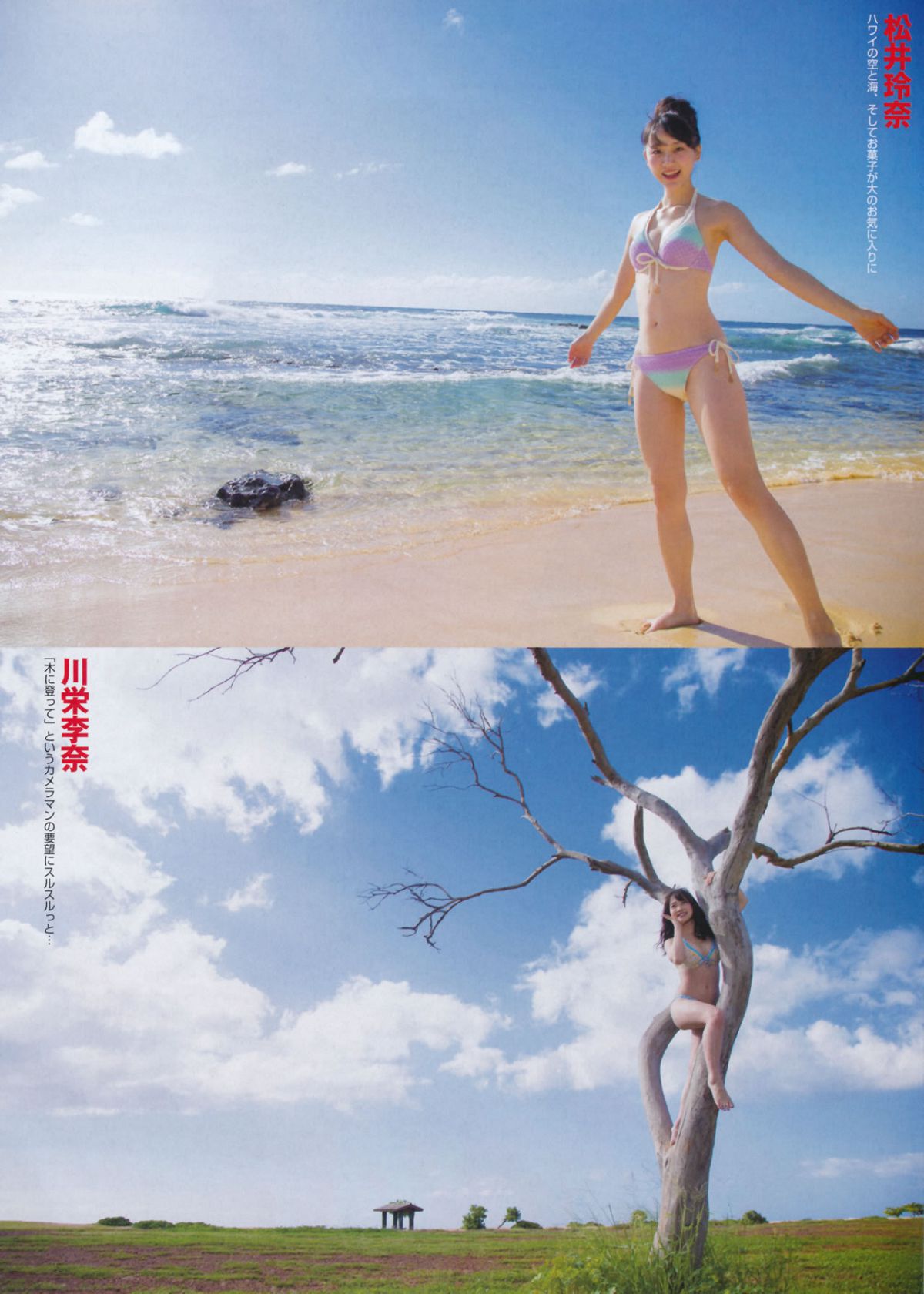 [FLASH] 增刊 2014.05.30 岛崎遥香 [63P]