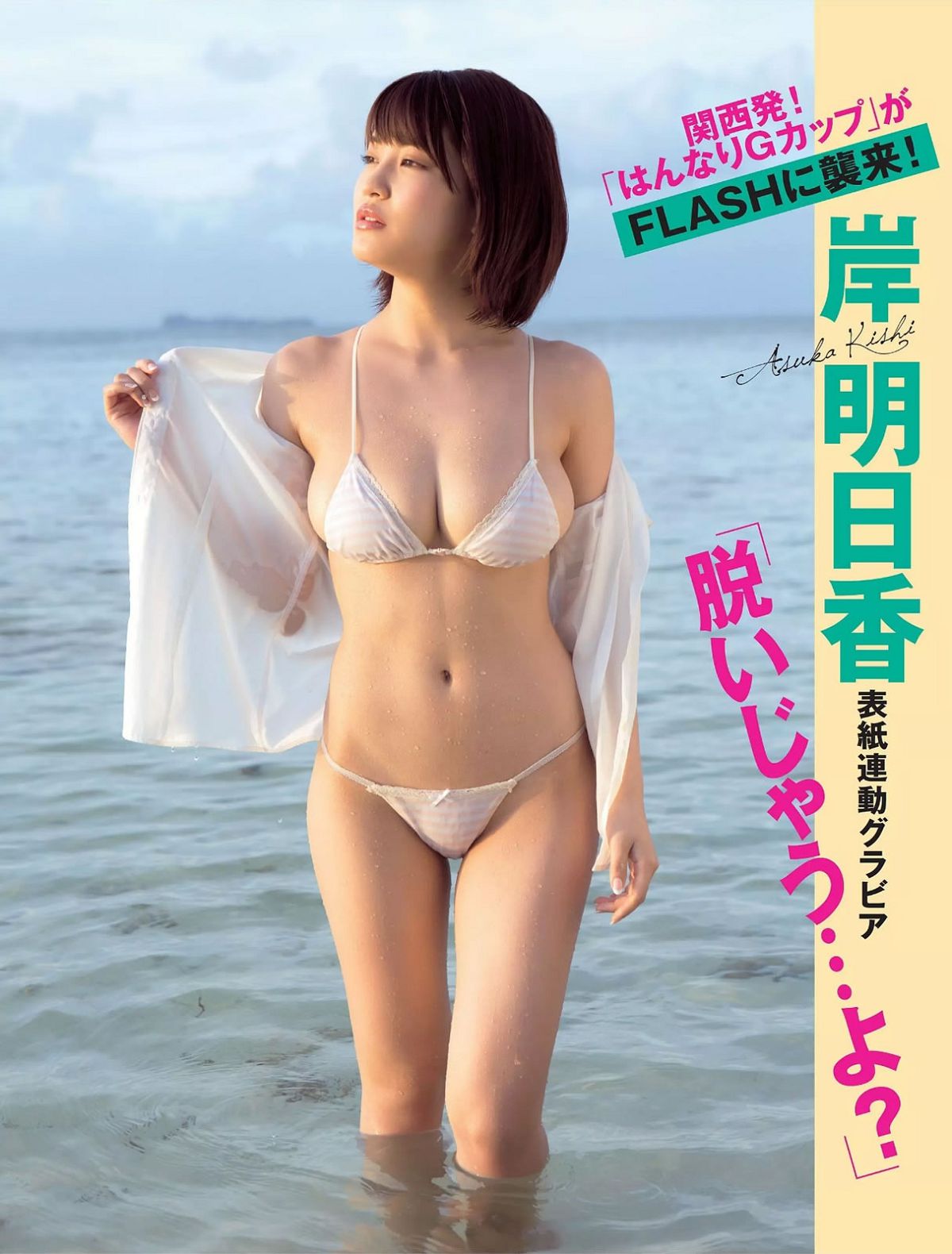 [Flash] 2015.06.16 岸明日香 AKB48 手束真知子 小松千春 山本彩 塩地美澄 [20P]