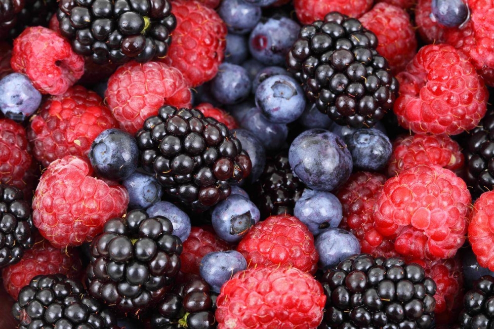 蓝莓树莓黑莓新鲜水果4K图片