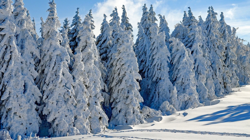 白雪皑皑电脑桌面壁纸雪景图片