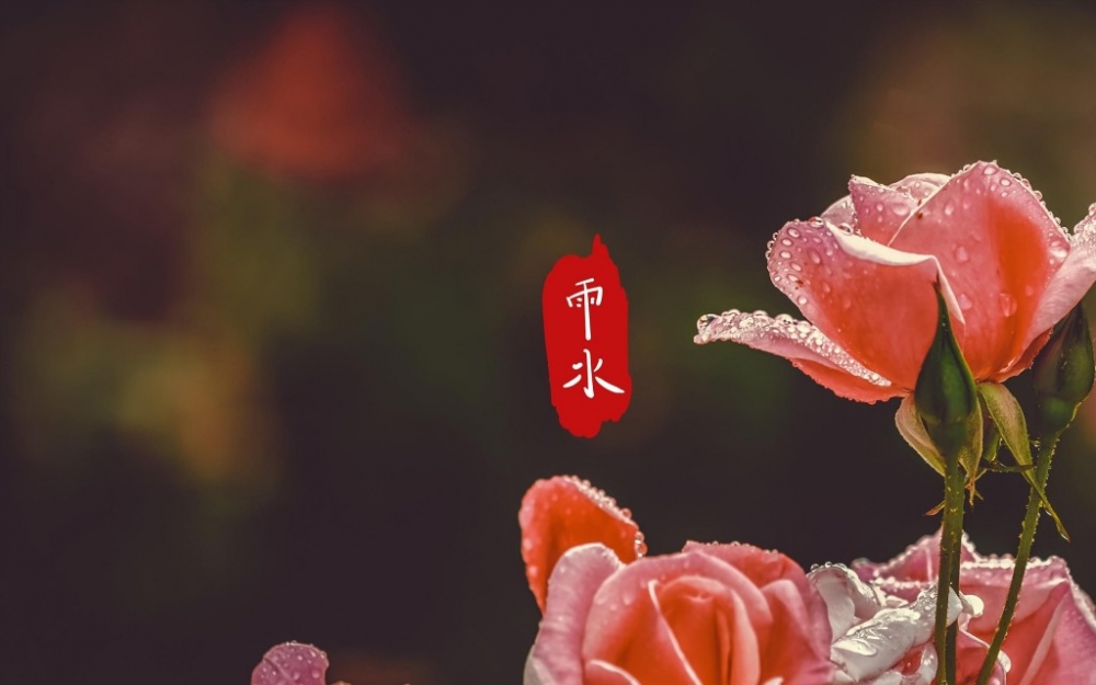 中国节气雨水节气唯美电脑桌面壁纸图片