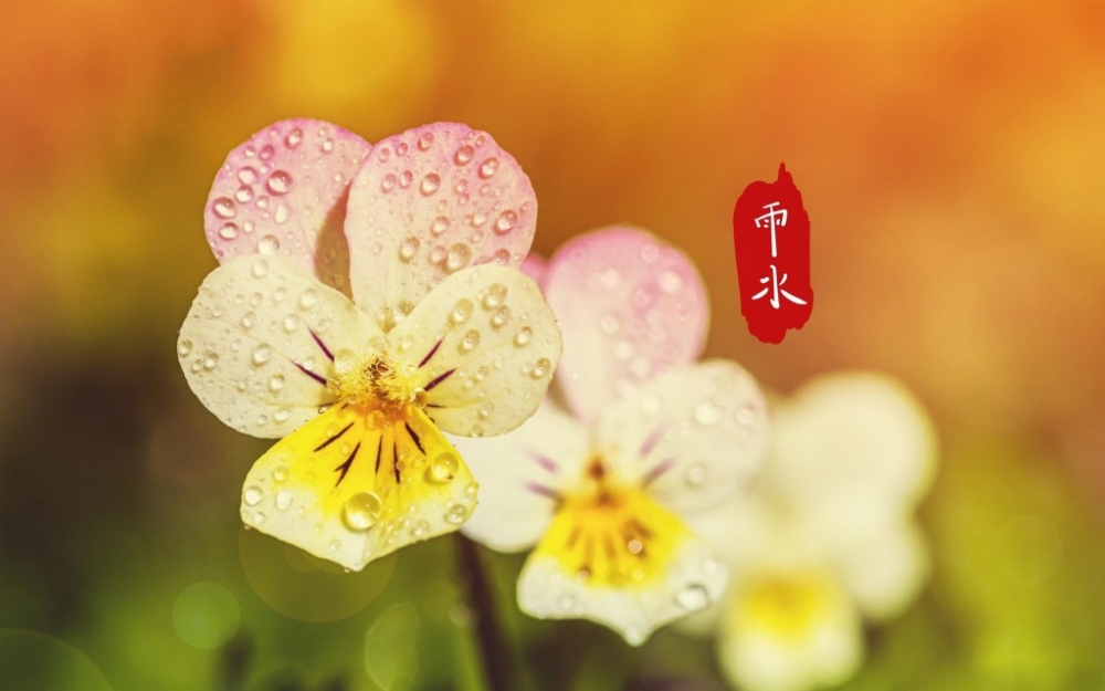 中国节气雨水节气唯美电脑桌面壁纸图片