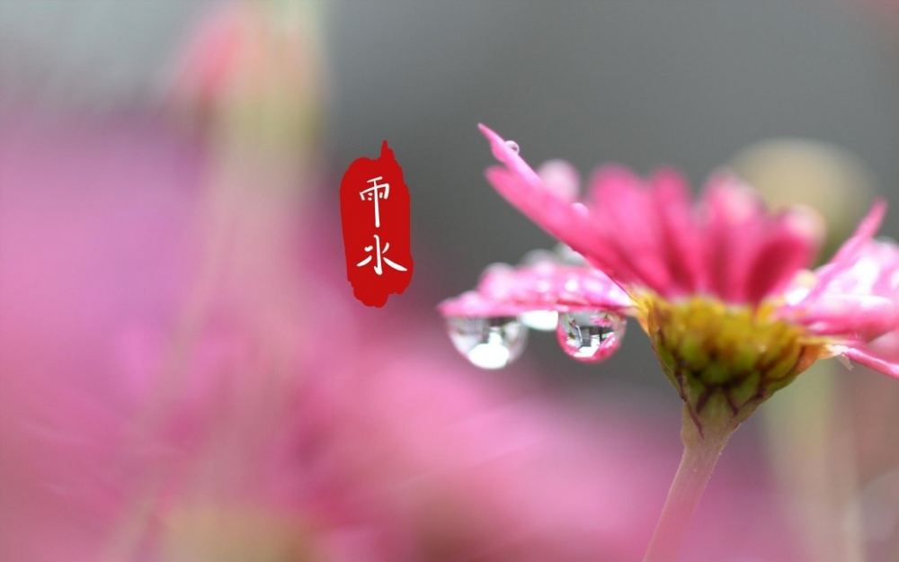 中国节气雨水节气唯美电脑桌面壁纸图片