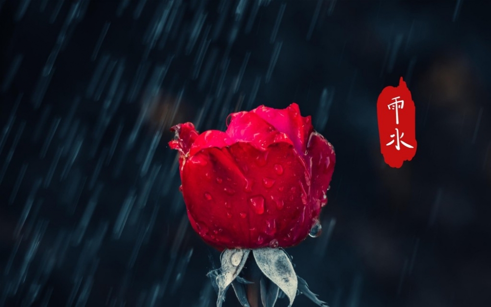 中国节气雨水节气唯美电脑桌面壁纸图片