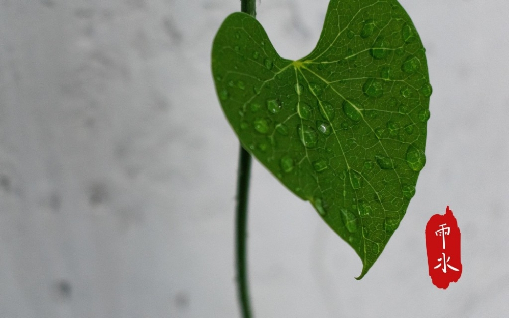 中国节气雨水节气唯美电脑桌面壁纸图片