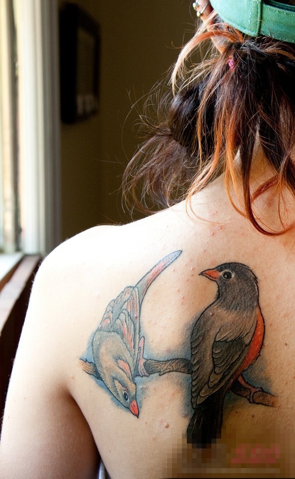 多款关于鸟类的黑色素描轮廓创意个性纹身图片