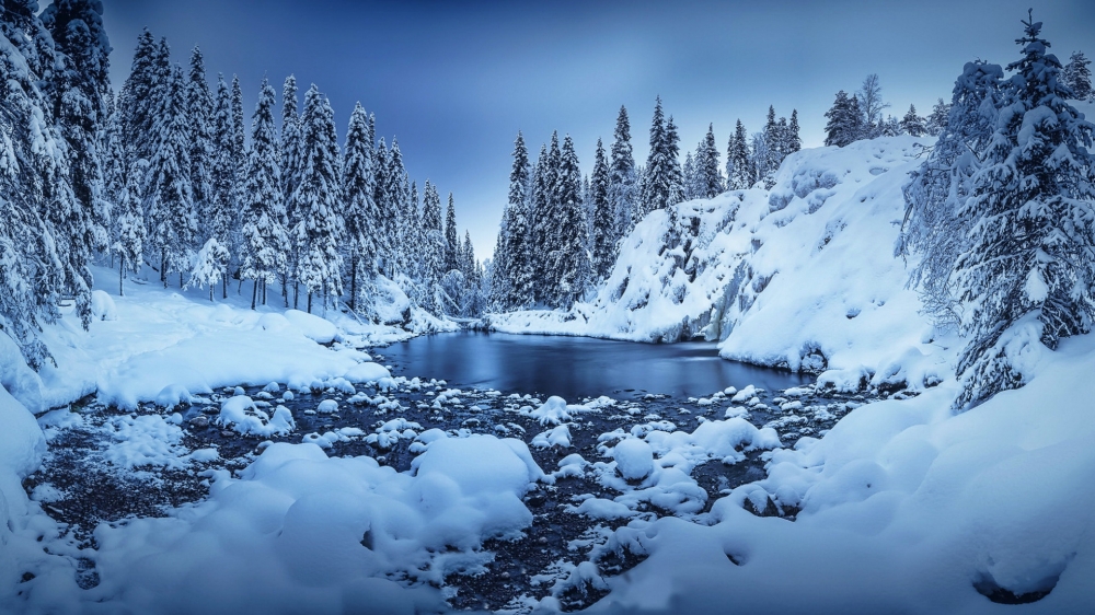 冬天挂满冰凌的杉树的雪景唯美高清图片