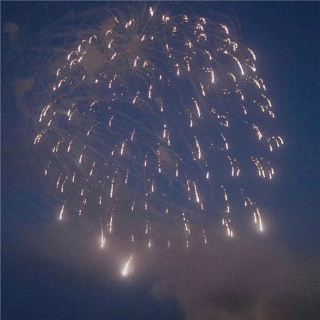 跨年夜烟花素材高清好看 祝我们拥有长久的欢喜与美梦