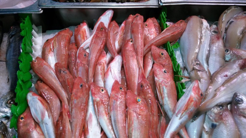 冰鲜鱼美食图片高清合辑