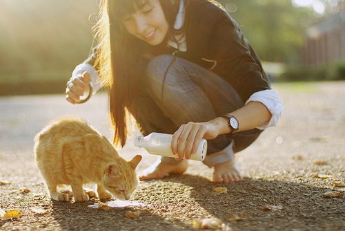 萌萌哒喵星人图片大全