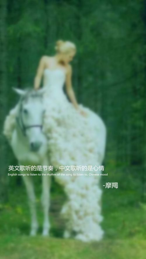 十二星座婚纱系语文字图片大全