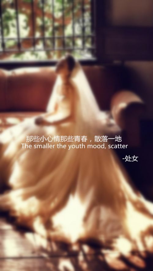 十二星座婚纱系语文字图片大全
