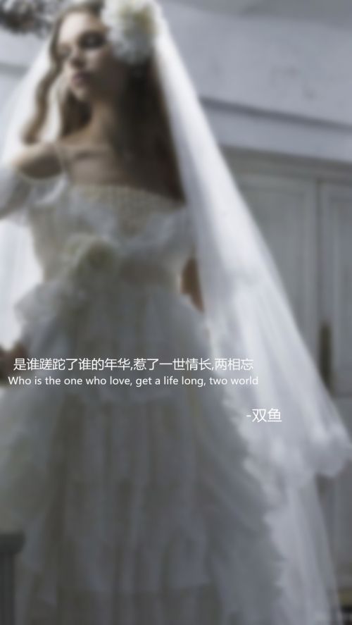 十二星座婚纱系语文字图片大全
