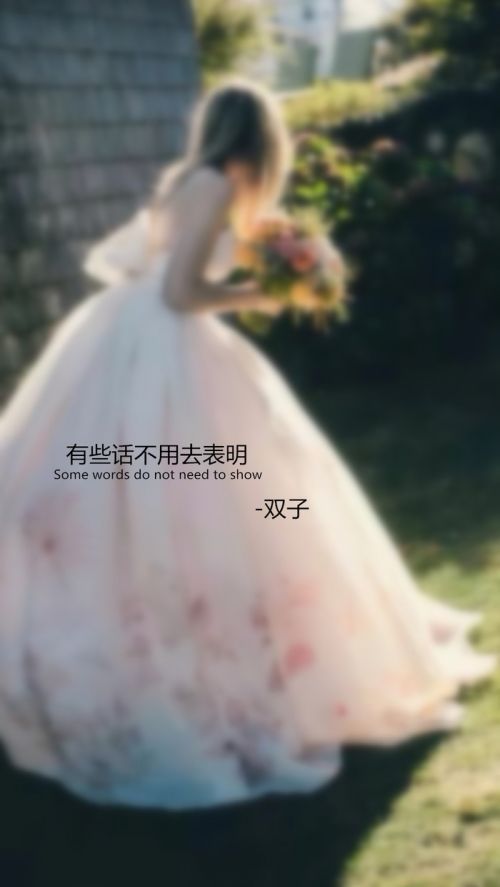 十二星座婚纱系语文字图片大全
