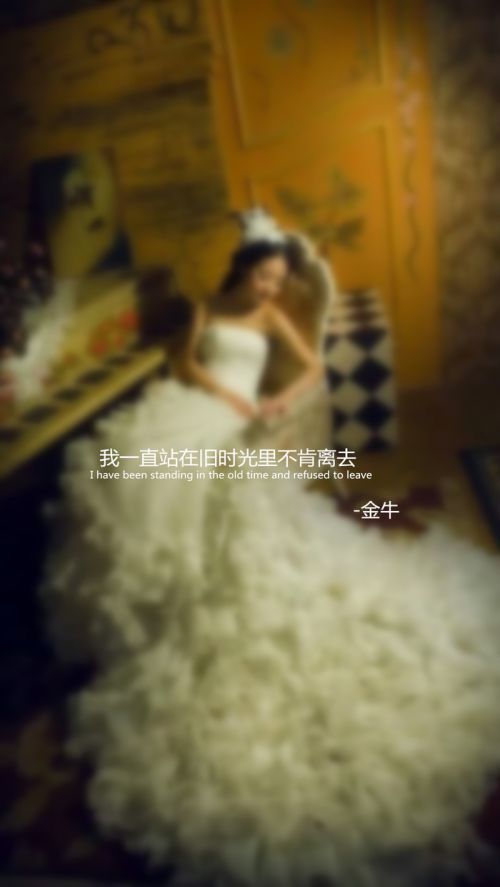十二星座婚纱系语文字图片大全