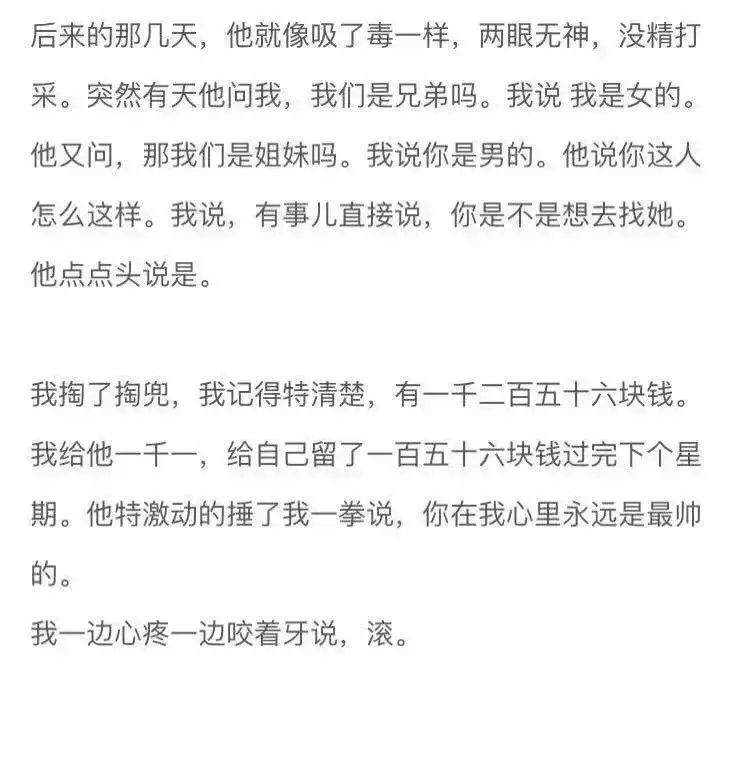 宋冬野：我只记得那只《斑马》