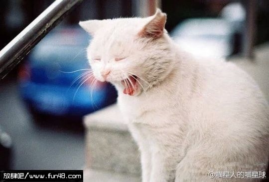 你猜我猜不猜！我猜你猜我不猜