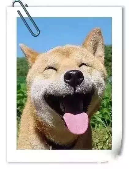 阿好：- 愿你们能活的像个神经病一样每天开开心心！