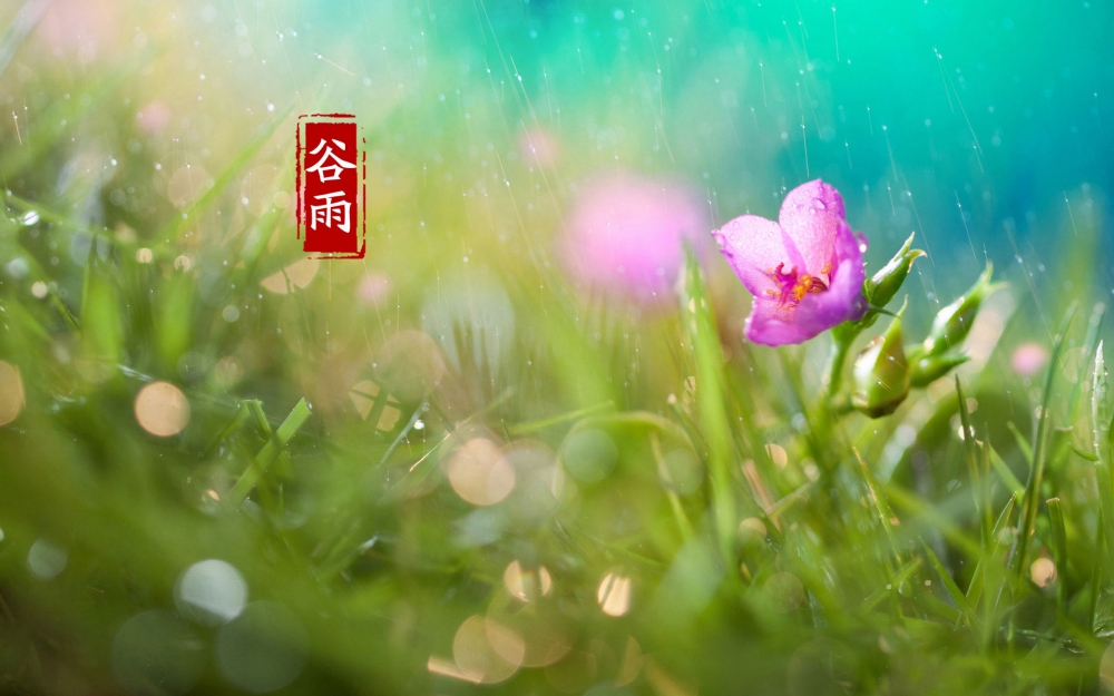 二十四节气谷雨唯美图片桌面壁纸