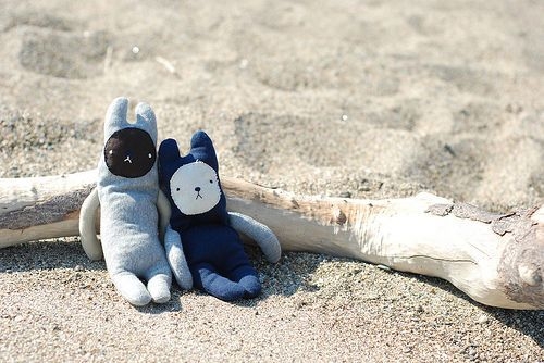 爱是付出  清新唯美图片