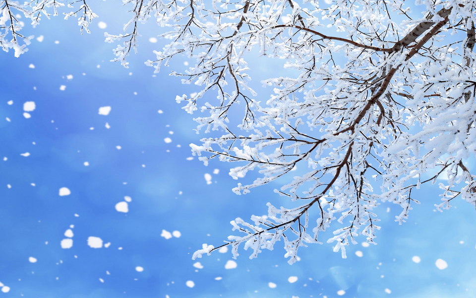 大雪中的自然景色壁纸